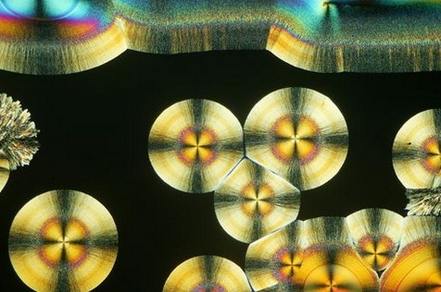 顕微鏡写真　ビタミンCの結晶