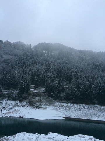 12月5日、大雪に見舞われた徳島県三好市の様子（ウェザーニューズより）