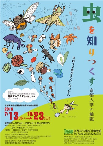 「虫を知りつくす」京都大学の挑戦・京都大学総合博物館