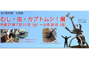 【夏休み】「むし・虫・カブトムシ！展」開催、 横浜・金沢動物園 画像