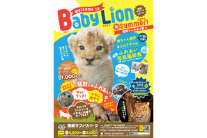 【夏休み】那須サファリパークでライオンの赤ちゃん抱っこ体験7/18より 画像