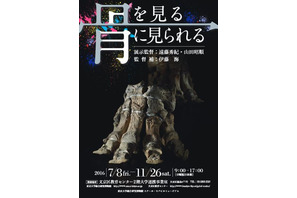 東大博物館が館外プロジェクト開催、モバイルミュージアム「骨を見る」 画像