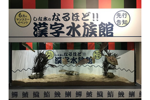 魚偏の漢字の由来は？しながわ水族館で漢字水族館6月 画像