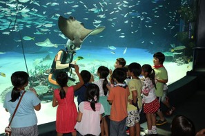 サンシャイン水族館の親子宿泊企画、7月25日より申込受付 画像
