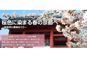 京の桜…桜色に染まる京都と美味めぐり情報を公開 画像