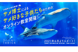 美ら海水族館のサメ博士らによるオンライン教室6/26より 画像