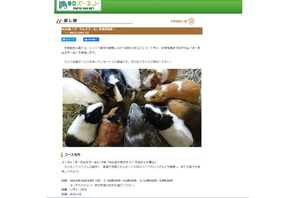東京都多摩動物公園「オータムスクール」参加者募集 画像