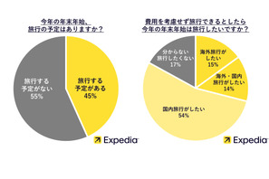 【年末年始】半数が旅行予定…理想の旅先1位「ハワイ」 画像