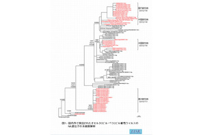 【インフルエンザ2014】山形県でも耐性ウイルス検出、国立感染症研究所 画像