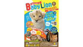 ライオンの赤ちゃんは7月18日公開