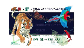 色・彩─生物のいろとデザインの不思議　(c) 公共財団法人東京動物園協会