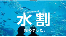 仙台うみの杜水族館　学生のための割引キャンペーン「水割」
