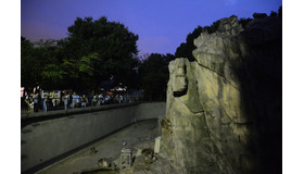 上野動物園「真夏の夜の動物園」サル山　（公財）東京動物園協会