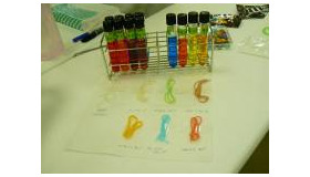 着色料を使った毛糸の染色の実験