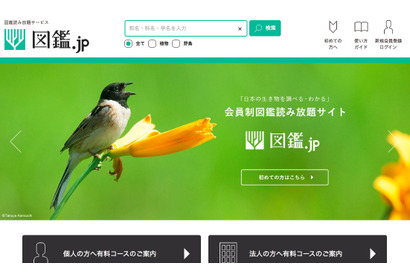 生物専門図鑑の読み放題サイト「図鑑.jp」植物、野鳥図鑑を公開 画像