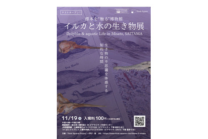 本物の標本に触れて、感じて…「イルカと水の生き物展」三郷市11/19 画像