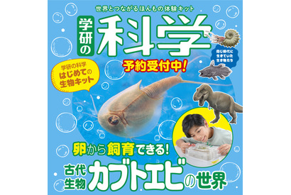 学研の科学、体験キット「古代生物カブトエビの世界」 画像