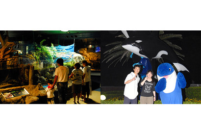 鴨川シーワールド、夏休みに夜の水族館を探検する「ナイトアドベンチャー」 画像
