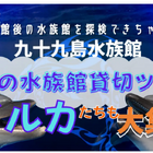 九十九島水族館海きらら、夜のオンラインツアー5/19 画像