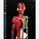 骨格の動きを忠実に再現した人体解剖アプリ登場、デジタル教科書としても利用可 画像