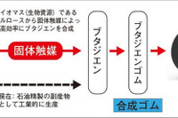 横浜ゴムと東工大、バイオマスで合成ゴム創出の新技術開発 画像