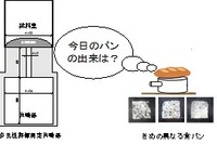 岐阜大、パンや天ぷらの食感を数値化する技術を確立 画像