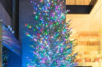 ミキモトのクリスマスツリー11/15設置、本店建て替えに伴い今年が最後 画像
