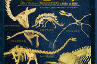 オールカラーで蘇る「骨の博物館III 恐竜の骨」5/12発売 画像