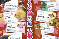 さいたま水族館に「おもしろ名前」の魚が大集合4/16-6/19 画像
