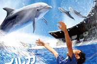 【夏休み2016】京都水族館でイルカとずぶぬれ水遊び7/23スタート 画像