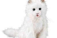 まるで本物の猫、表情も再現「夢ねこプレミアム」12/3発売 画像