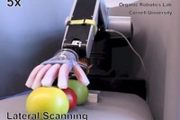 柔らかい「手」を持つロボット誕生、米コーネル大が開発 画像