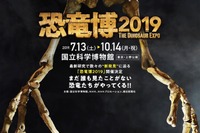 謎の恐竜やむかわ竜、世界初公開…かはく「恐竜博2019」7/13-10/14 画像