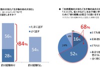 子どもの釣り経験の有無、環境への意識に差 画像