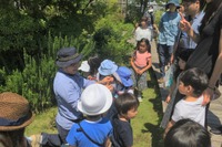 玉川高島屋S・C5月イベント、親子自然散策ツアー・ローズガーデンツアーなど 画像