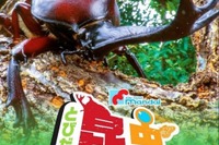 【夏休み2019】触れて学べる体験型昆虫展…大阪9/1まで 画像