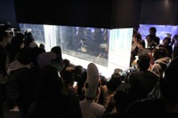 ゆらゆらチンアナゴまつり11/1-11すみだ水族館