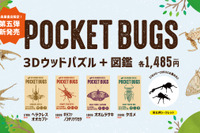 昆虫3Dウッドパズル「ポケバグ」ヘラクレスオオカブトら4種発売 画像