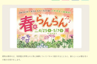 【GW2023】植物学者・牧野富太郎氏にまつわる企画展示も「春らんらん展」5/7まで