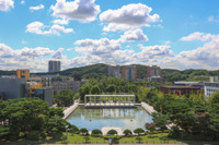 実践的カリキュラムや充実した奨学金制度、韓国留学という選択 画像