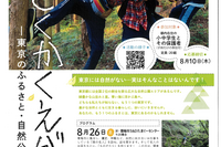 東京都「多様な自然を知る参加型プログラム」8-12月 画像