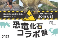 熊本大「恐竜化石コラボ展」入場無料、12/20まで 画像