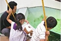  京大白浜水族館、大水槽のエサやりや海の生き物相談会などの夏休みイベント開催 画像