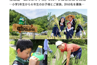 米作りと自然観察、宝酒造「田んぼの学校」2024参加者募集 画像