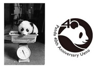 パンダの日の10/28、上野動物園でパンダ来日40周年記念イベント 画像