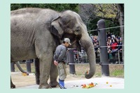 上野動物園・多摩動物園・井の頭自然文化園のイベント情報 画像