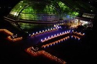 園内の樹木や花壇を約10万個のLEDで装飾、京都府立植物園の夜間開放 画像