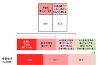 【インフルエンザ2013】一般成人の6人に1人は自己判断で通学や通勤 画像