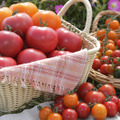 タキイ種苗「トマトに関する意識調査」