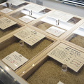 AKOMEYA  TOKYO/各地から集めた玄米を量り売りで提供